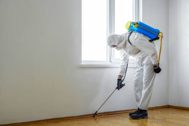 Best Pest Exclusion Services  in Nixon, PA